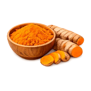 Urofarm — curcuma (Curcuma longa)